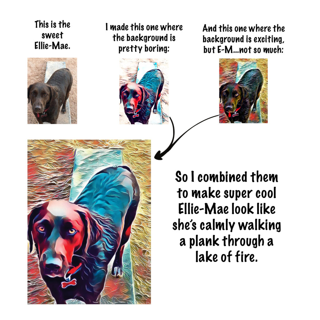 Before and after images of Ellie-Mae with different backgrounds combined into a dramatic stylized portrait.