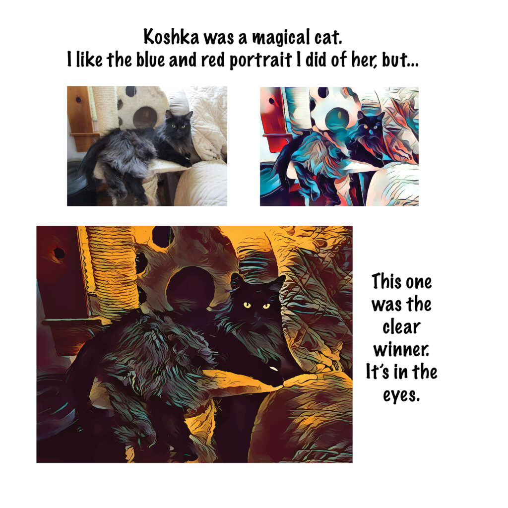 Before and after images showing Koshka the cat in different styles, with the final magical portrait emphasized.